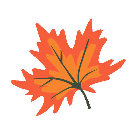 🍃